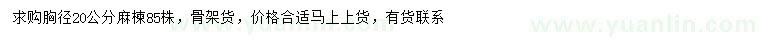 求購胸徑20公分麻楝