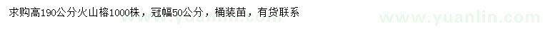 求購高190公分火山榕