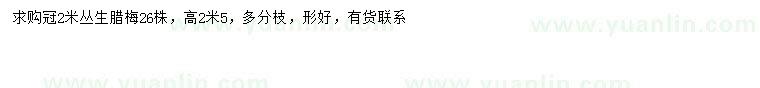 求購冠幅2米叢生臘梅