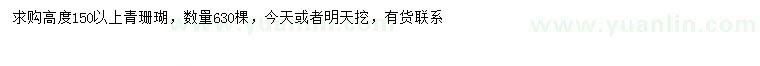 求購(gòu)高150公分以上青珊瑚