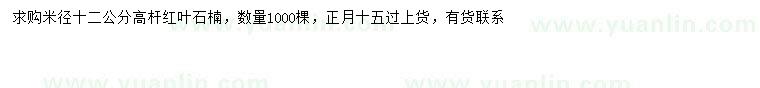 求購米徑12公分高桿紅葉石楠