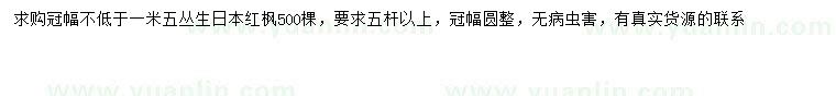 求購(gòu)冠幅1.5米以上叢生日本紅楓