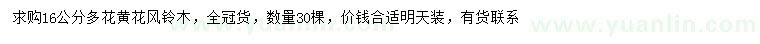 求購16公分多花黃花風鈴木