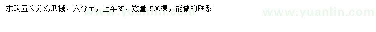 求購5公分雞爪槭