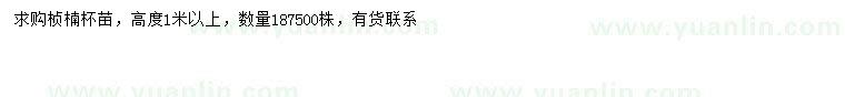 求購高1米以上楨楠