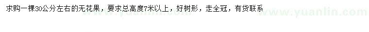 求購(gòu)30公分左右無(wú)花果