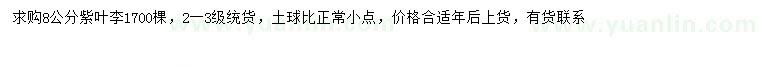 求購8公分紫葉李