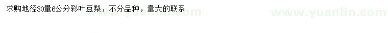 求購(gòu)30量6公分彩葉豆梨