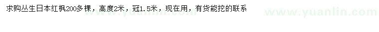 求購(gòu)冠幅1.5米叢生日本紅楓