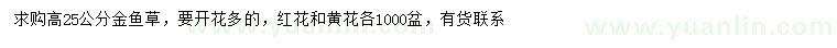 求購高25公分金魚草