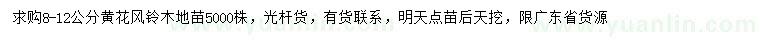 求購8-12公分黃花風鈴木