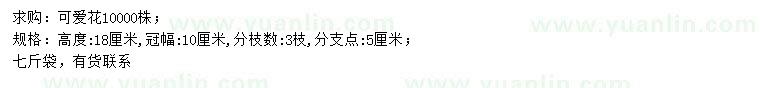 求購高18公分可愛花