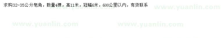 求購32-35公分皂角