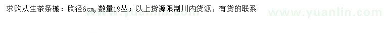 求購胸徑6公分從生茶條槭