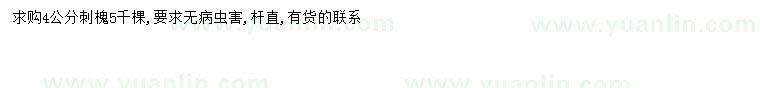 求購4公分刺槐