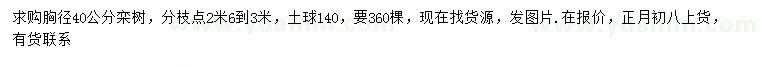 求購(gòu)胸徑40公分欒樹
