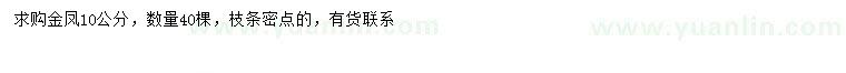 求購10公分金鳳