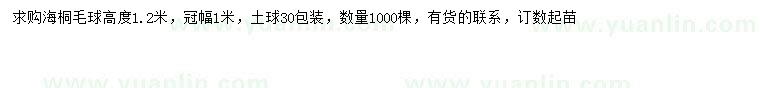 求購冠幅1米海桐球