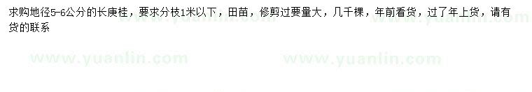 求購地徑5-6公分長庚桂
