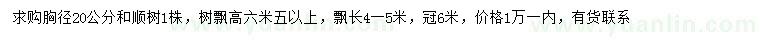 求購(gòu)胸徑20公分和順樹