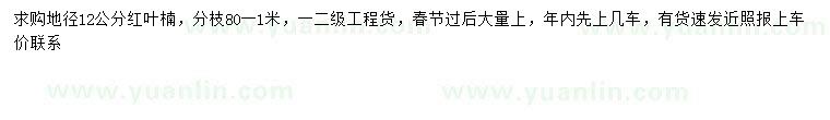 求購地徑12公分紅葉楠