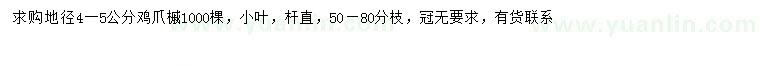 求購地徑4-5公分雞爪槭