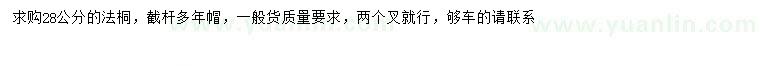 求購(gòu)28公分法桐