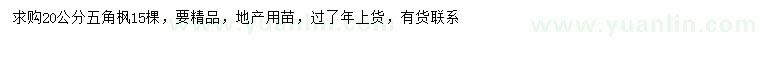 求購(gòu)20公分五角楓