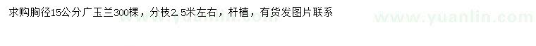 求購(gòu)胸徑15公分廣玉蘭
