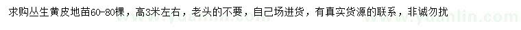 求購高3米左右叢生黃皮