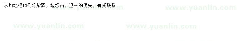 求購地徑10公分紫薇