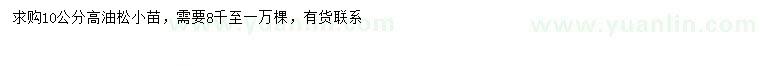 求購(gòu)高10公分油松小苗