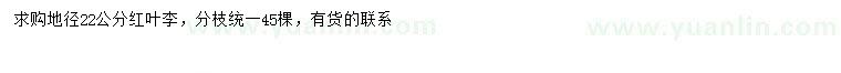 求購地徑22公分紅葉李
