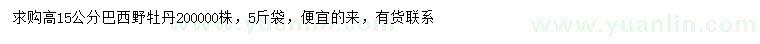 求購高15公分巴西野牡丹