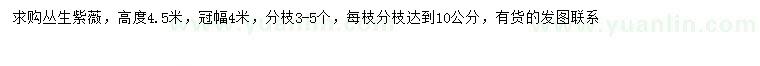 求購(gòu)冠幅4米叢生紫薇
