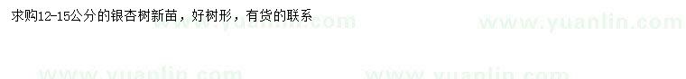 求購12-15公分銀杏