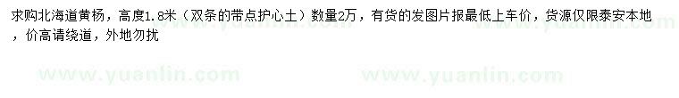 求購高1.8米北海道黃楊