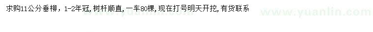 求購11公分垂柳