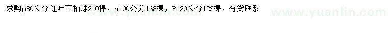 求購冠幅80、100、120公分紅葉石楠球