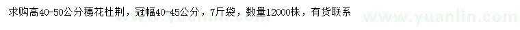 求購高40-50公分穗花牡荊