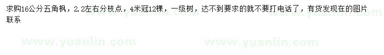 求購(gòu)16公分五角楓