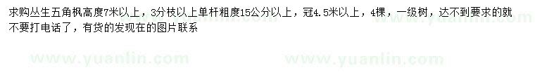 求購冠幅4.5米以上叢生五角楓