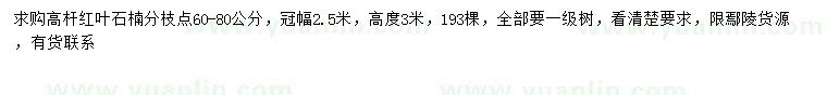 求購高3米高桿紅葉石楠