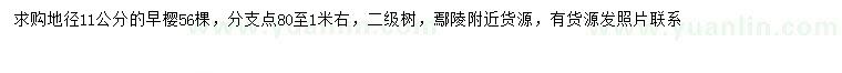 求購地徑11公分早櫻