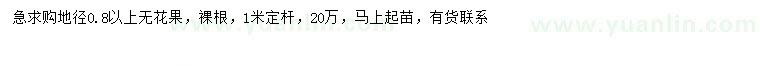 求購地徑0.8公分以上無(wú)花果