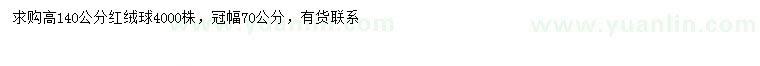 求購高140公分紅絨球