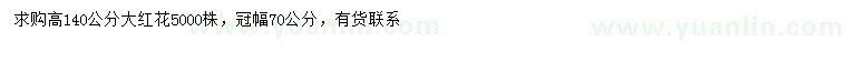 求購高140公分大紅花