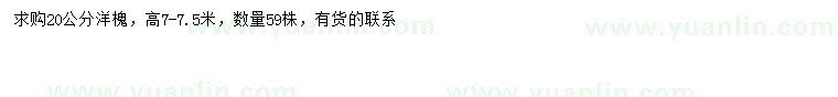 求購20公分洋槐