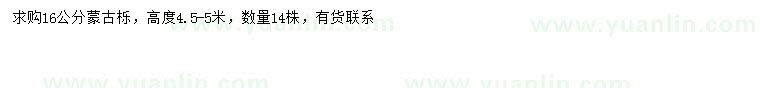 求購(gòu)16公分蒙古櫟