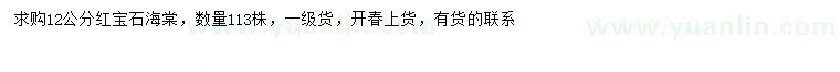 求購12公分紅寶石海棠